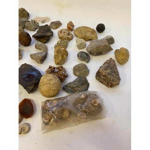 403 - A Quantity of Natural History Rocks, Minerals and Fossils