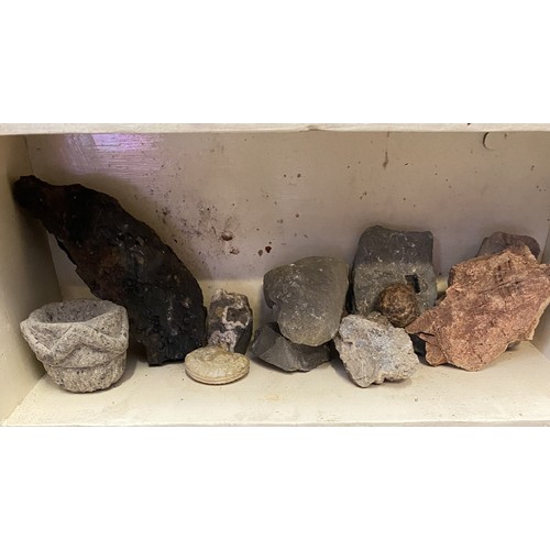 313 - Shelves to Include Contents of Petrified Rock, Red Maple Formation, Fossils and Natural History Exam... 