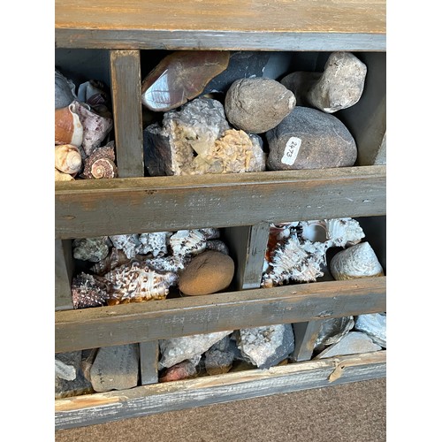 320 - Natural History A Unit Of Fossils Shells Quarts Etc. 88 x 20 x 47 cms