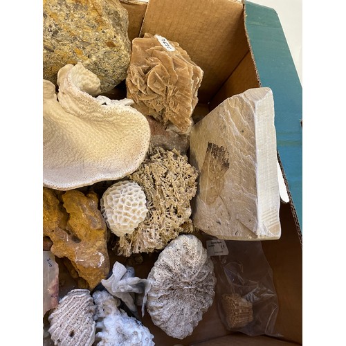 324 - Box Of Rocks Fossils Etc To Include Desert Rose , Fossilised Leafs Etc (Box)