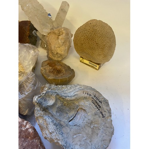 335 - Various Rocks And Fossils Etc To Include Flowing Limestone ,Moon Coral, Oyster Volterra Etc.