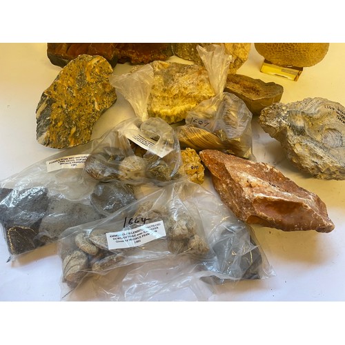 335 - Various Rocks And Fossils Etc To Include Flowing Limestone ,Moon Coral, Oyster Volterra Etc.