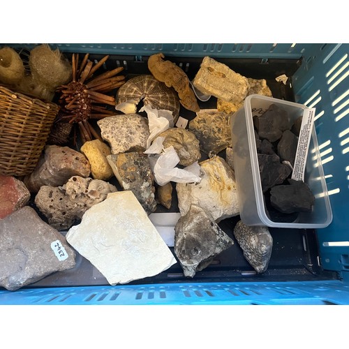 337 - Quantity Of Fossils, Minerals Etc. (Box)