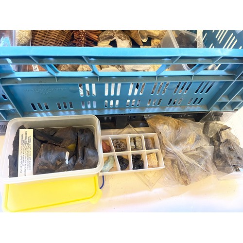 337 - Quantity Of Fossils, Minerals Etc. (Box)