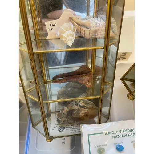 339 - Natural History A Wet Sample Of A Crab , Semi Precious Stones,Shells Fossils , Display Units Etc. (B... 