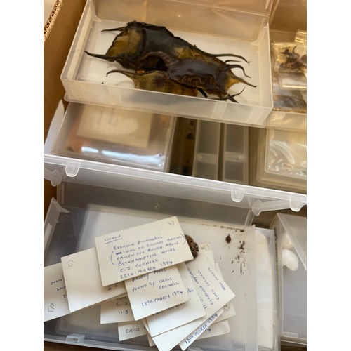 341 - Box Of Various Natural History Interest.