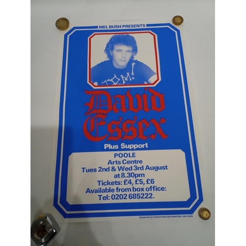 491 - Vintage concert poster DAVID ESSEX Plus Support, 76cm x 51cm