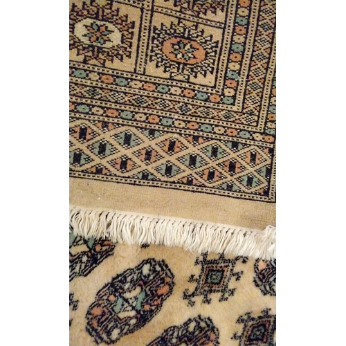 138A - Hand knotted patterned Rug 191cm x 125cm