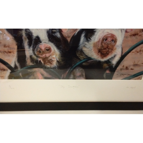 348 - Framed and Glazed Ltd edition print 'Trotters' 3/500 by Margaret Taco, 55cm x 43cm