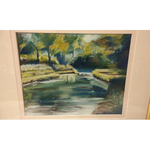 291 - Framed and Glazed pastel of a river scene 'The river Dunn, Hampshire' signed lower left