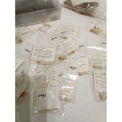 698 - An interesting collection of insects and other samples of interest in glass tubes from various caves... 