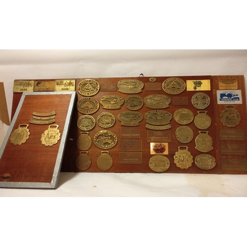 803 - A quantity of Brass Plaques relating to Steam shows mounted on 2 boards