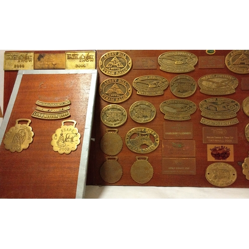 803 - A quantity of Brass Plaques relating to Steam shows mounted on 2 boards