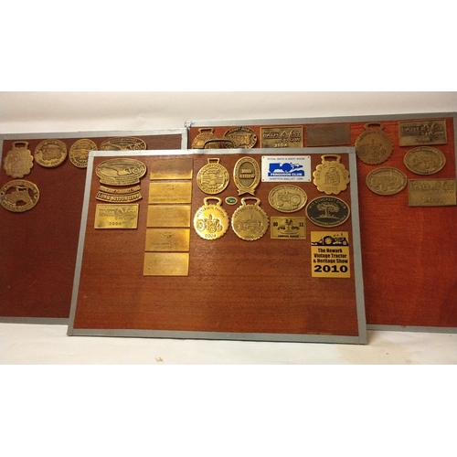 806 - Quantity of Brass Steam Rally Plaques fixed to Three boards