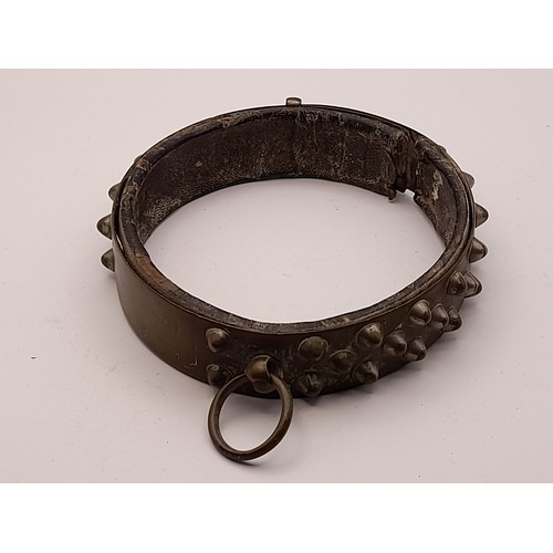 326 - 19th century Brass Studded Dog Collar with Leather Liner and ring for dog Lead. There are 6 adjustme... 