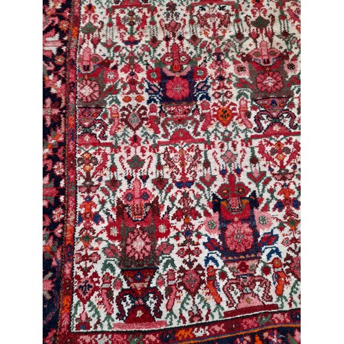 55 - Brown ground rug with Red ground Border hand knotted, 208cm x 136cm