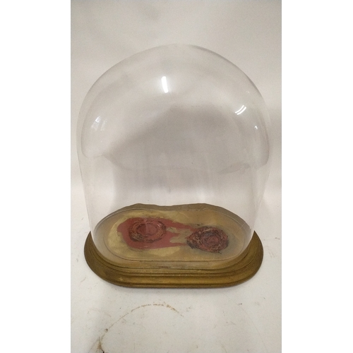 63 - Glass Dome on Base, internal measurement approx 35cm high x 31cm wide x 17cm deep