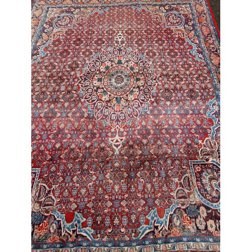 77A - Large Red and Blue ground hand knotted rug with central motif, 310cm x 224cm