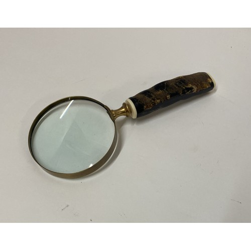 289 - Magnifying Glass With Bone Handle 24cm Length