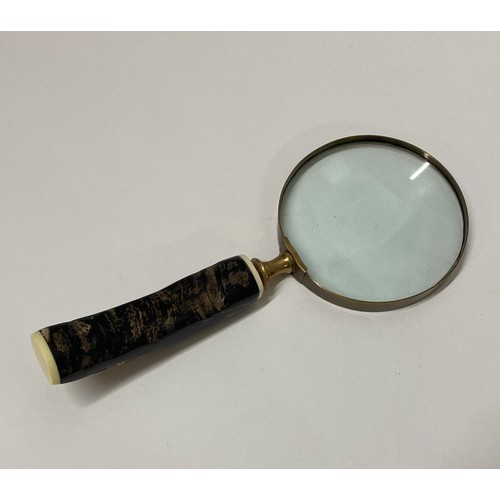 289 - Magnifying Glass With Bone Handle 24cm Length