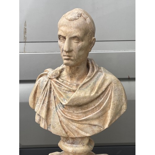 151 - Plaster Bust Model Of Roman Emperor Caesar Mounted On A Plaster Corinthian Style Column 150cms High