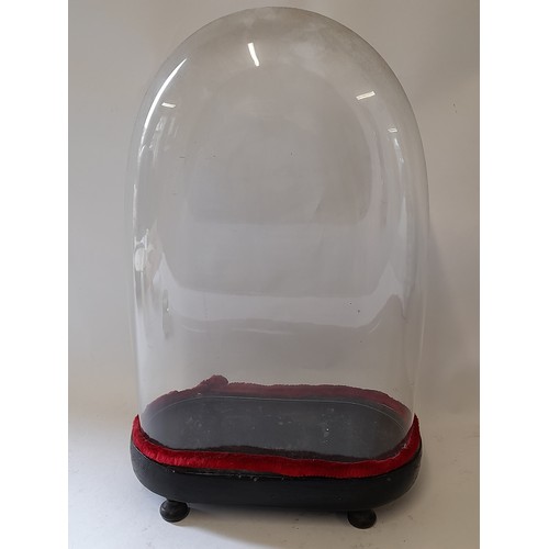 11 - Vintage Glass Dome on Wood base, internal measurement 35cm x 24cm x 11cm