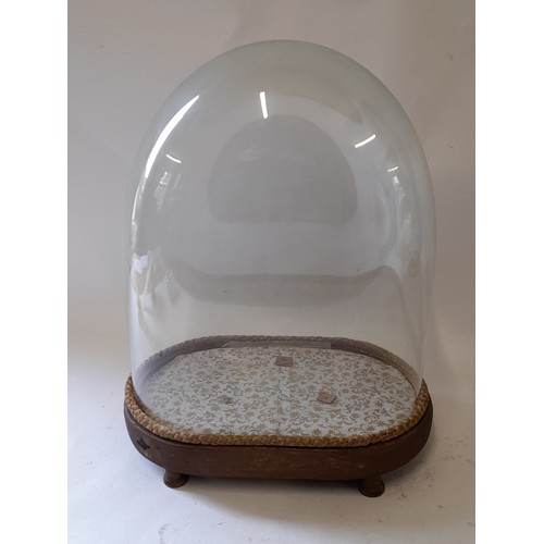 12 - Vintage Glass Dome on wood base, internal measurement 29cm x 25cm x15cm