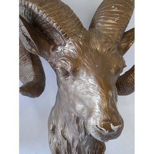 47 - Plaster Ram Head for wall mounting in painted gold, 23cm x 37cm