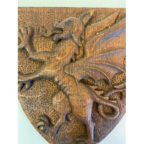 162 - Carved Wood Dragon Shield Folk Panel 24cm x 20.5cm