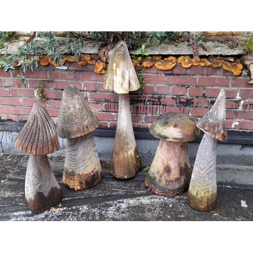 420 - 5 x Wooden Garden Display Mushrooms, tallest 100cm