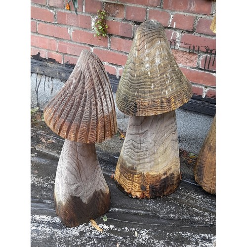 420 - 5 x Wooden Garden Display Mushrooms, tallest 100cm