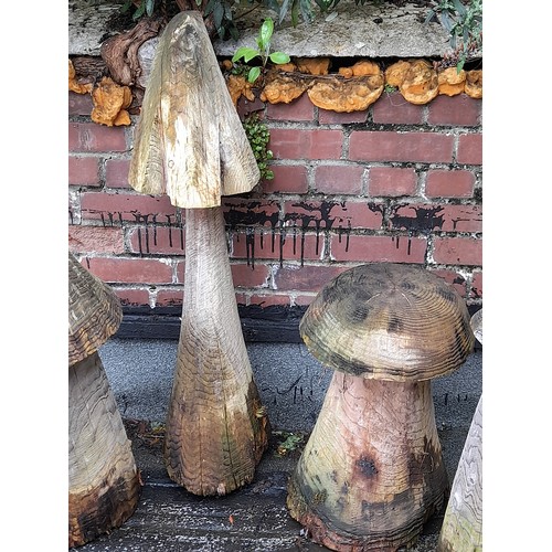 420 - 5 x Wooden Garden Display Mushrooms, tallest 100cm