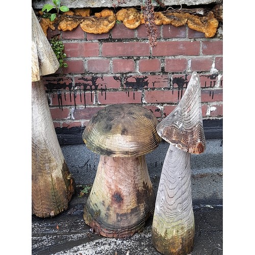 420 - 5 x Wooden Garden Display Mushrooms, tallest 100cm