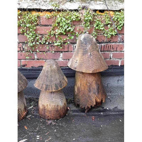 421 - 4 x Wooden Garden Display Mushrooms, Tallest 72cm