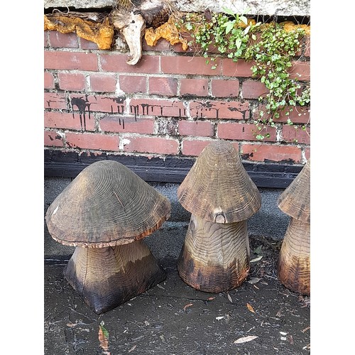 421 - 4 x Wooden Garden Display Mushrooms, Tallest 72cm