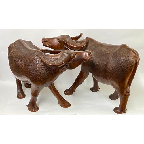 164 - Large Very Good Quality  Matched Pair of Carved Wood Water Buffalo Sculptures 58cm x 40cm (2)