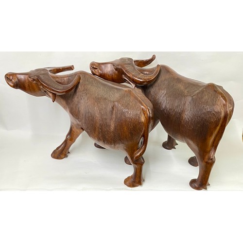 164 - Large Very Good Quality  Matched Pair of Carved Wood Water Buffalo Sculptures 58cm x 40cm (2)