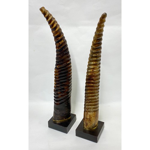 173 - Pair of Vintage Mounted Decorative Antelope Horns with Brass Rim to Bottom 54cm Height