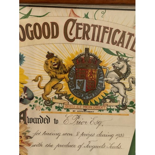 186 - Antique Framed And Glass Fronted TOOGOOD Certificate Of Excellence 
39 x 49 cms h