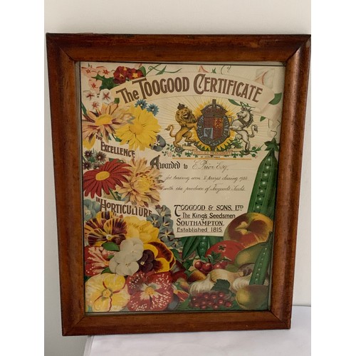 186 - Antique Framed And Glass Fronted TOOGOOD Certificate Of Excellence 
39 x 49 cms h