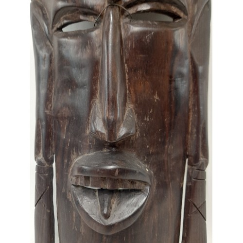 25 - Carved wood Tribal Mask, 48cm x 18cm