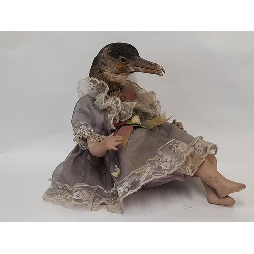 58 - Macabre Taxidermy Doll with Birds Head, 29cm high