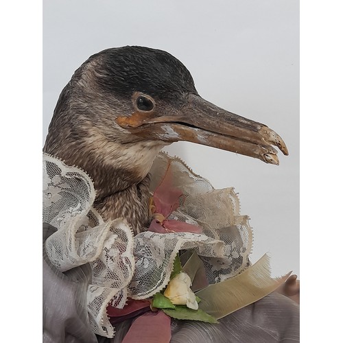 58 - Macabre Taxidermy Doll with Birds Head, 29cm high