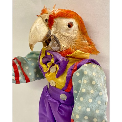 240 - Vintage Macabre Amalgamated Taxidermy Oddity of a Parrots Head on Clown Doll Body 37cm Height