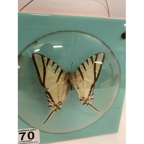 170 - Vintage Butterfly Display Having A Dome Glass Front On Mettlach Tile
15 x 15 cms