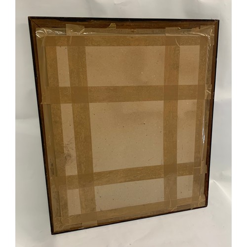 180 - Vintage Faux Tortoiseshell Frame With Print
57 x 68 cms h