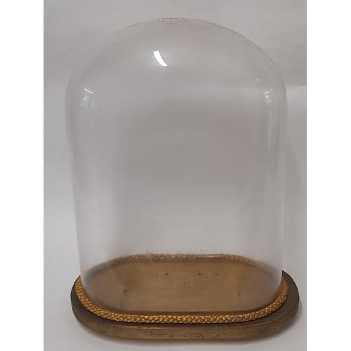 340 - Glass Dome on Base, internal measurements, 35cm x 25cm x 14cm