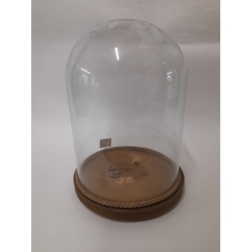 341 - Round Glass Dome on Base, 25cm x 18cm