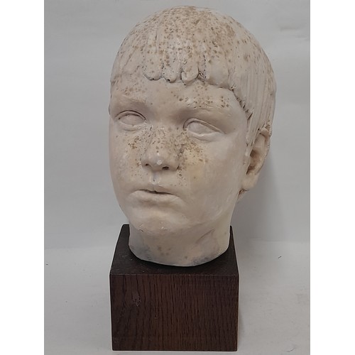 304 - Plaster Head of a Young Boy on wooden plinth, 32cm high