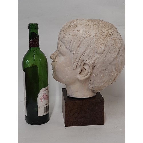 304 - Plaster Head of a Young Boy on wooden plinth, 32cm high